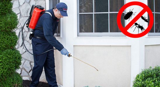 Sandıklı Haşere İlaçlama böcek ilaçlama ve haşere kontrolü — ilaclama-tr.com